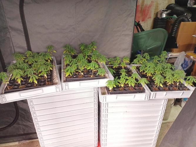 Bunkerlinge Baglung Nepalese 2016 batch. Week 0