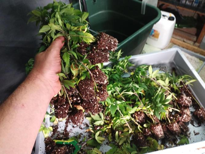 Bunkerlinge Baglung Nepalese 2016 batch. Week 0 - for waste ;)