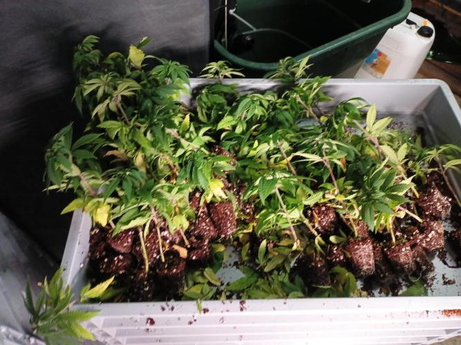 Bunkerlinge Baglung Nepalese 2016 batch. Week 0