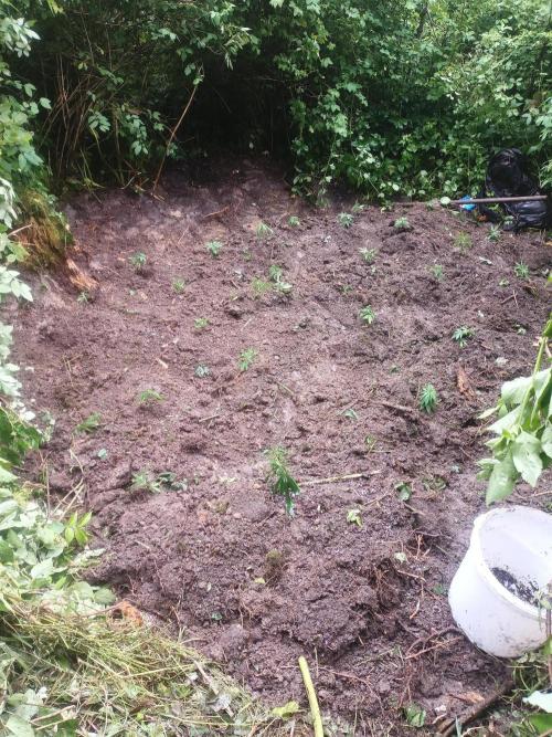 Bunkerlinge Baglung Nepalese 2016 batch. Week 1