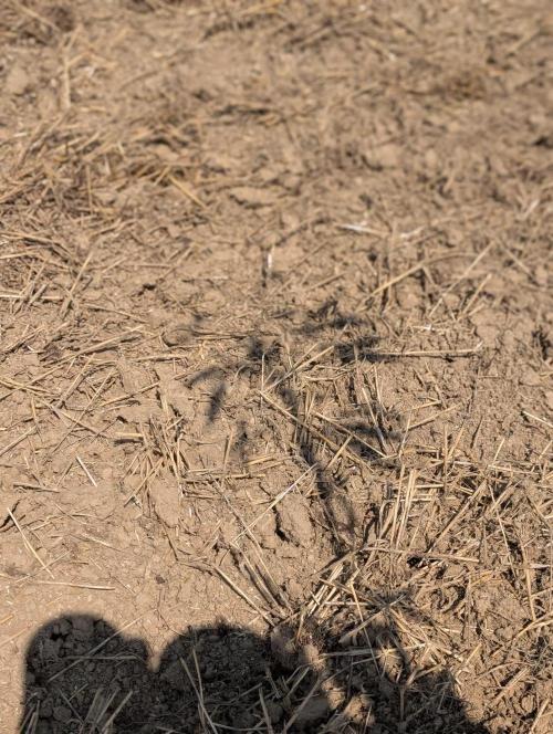 Bunkerlinge Baglung Nepalese 2016 batch. Week 6