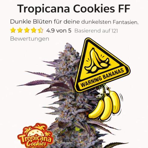 Rocko's Tropicana Cookies FF. Week 18