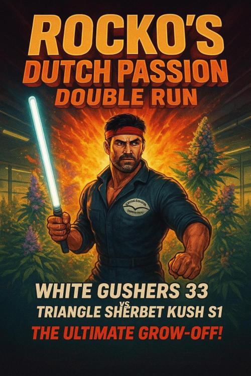 Rocko's Dutch Passion Double Run. Week 13