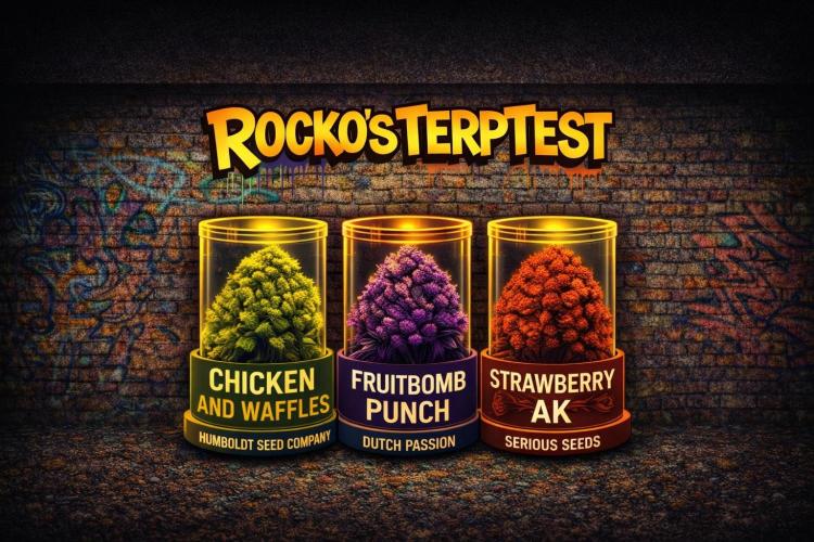 Rocko's Terp Test. Week 0