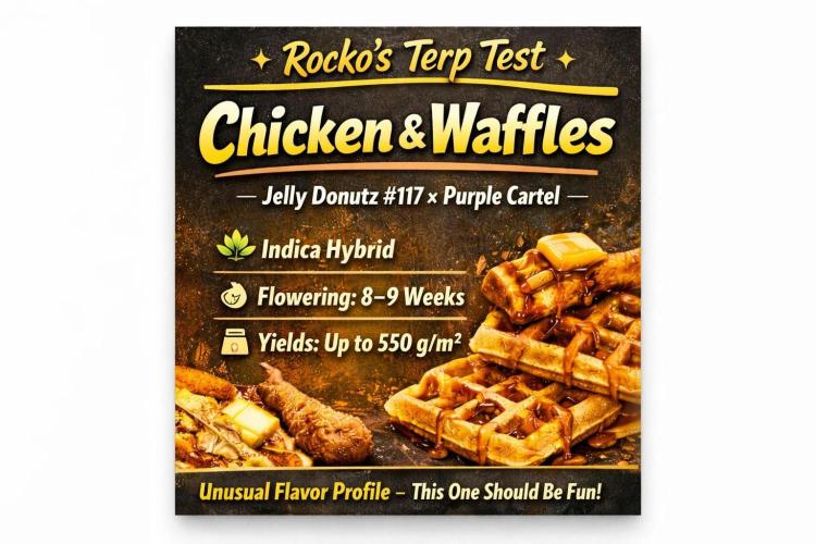 Rocko's Terp Test. Week 0