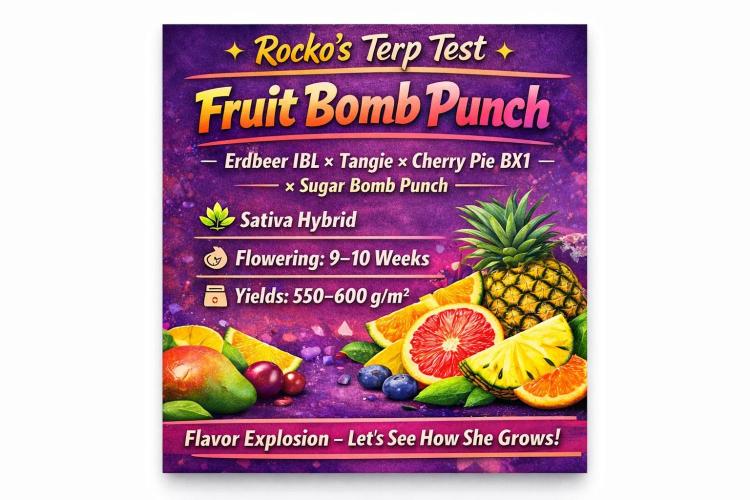 Rocko's Terp Test. Week 0