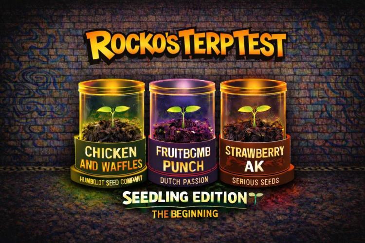 Rocko's Terp Test. Week 1