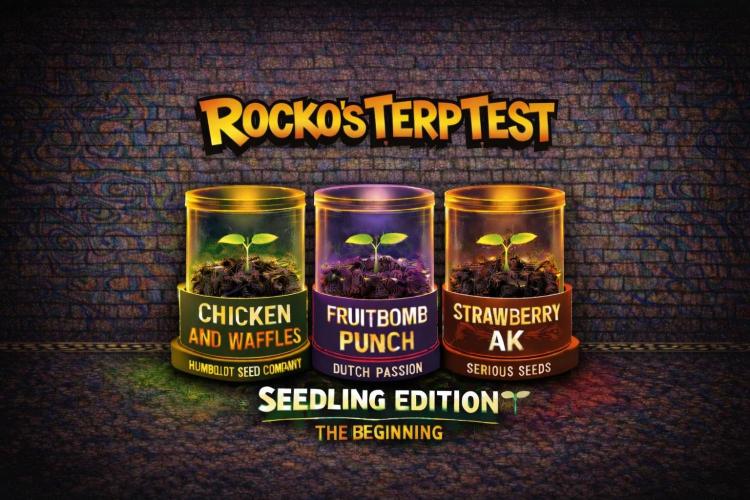 Rocko's Terp Test. Week 3