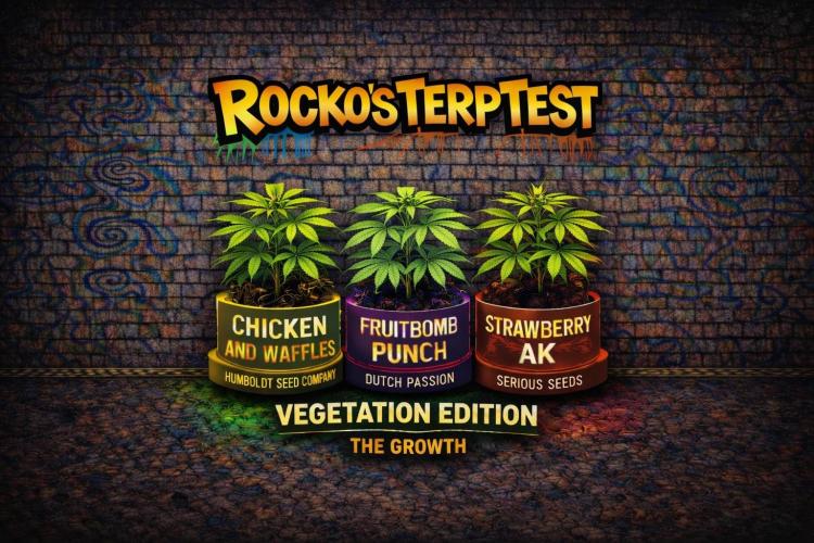 Rocko's Terp Test. Week 4