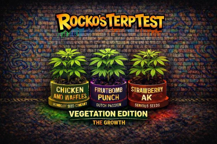 Rocko's Terp Test. Week 5