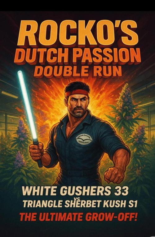 Rocko's Dutch Passion Double Run. Week 23