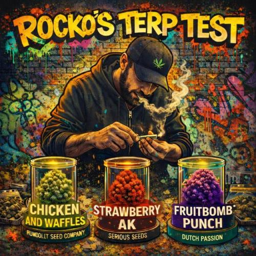 Rocko's Terp Test. Week 9