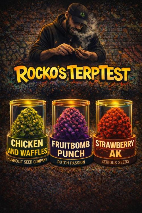 Rocko's Terp Test. Week 10