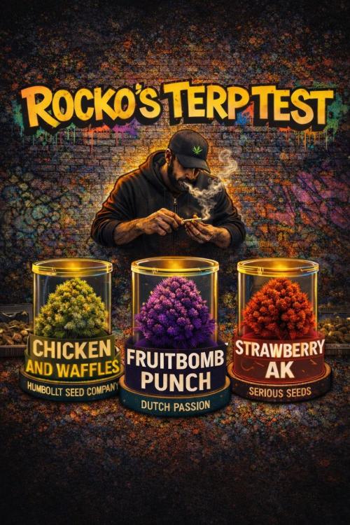 Rocko's Terp Test. Week 18