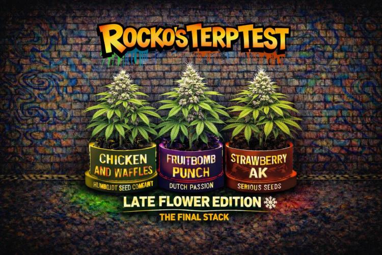 Rocko's Terp Test. Week 18