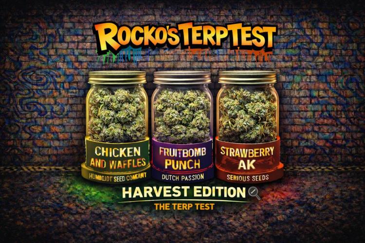 Rocko's Terp Test. Week 19