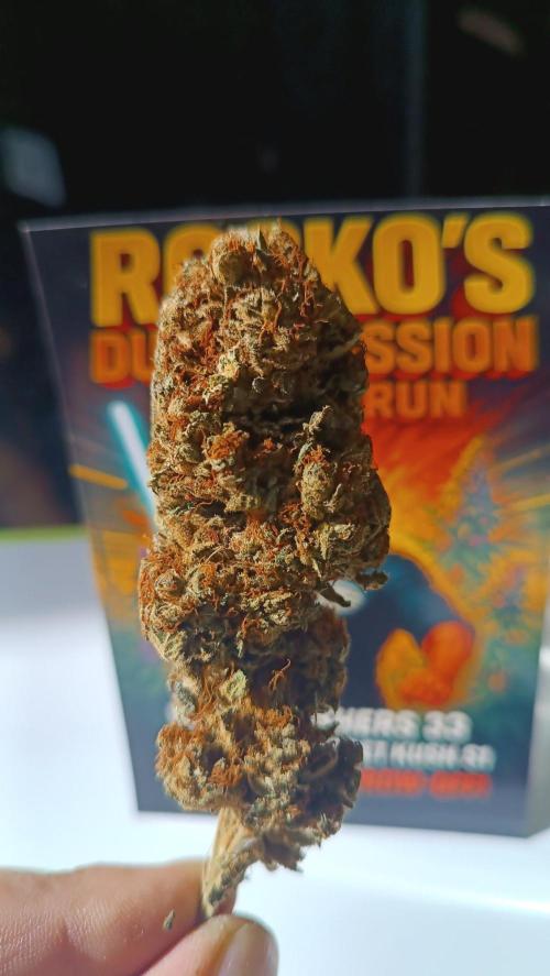 Rocko's Dutch Passion Double Run. Week 23
