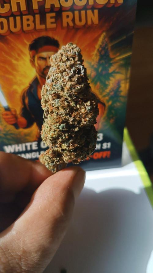 Rocko's Dutch Passion Double Run. Week 23 - TSK 