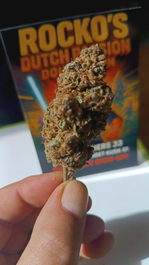 Rocko's Dutch Passion Double Run. Week 23 - TSK 
