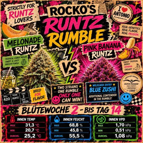 Rocko's Runtz Rumble. Week 9 - Climate flowerweek 2