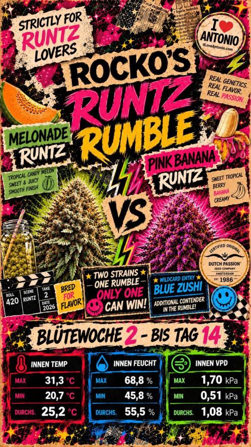 Rocko's Runtz Rumble. Week 9