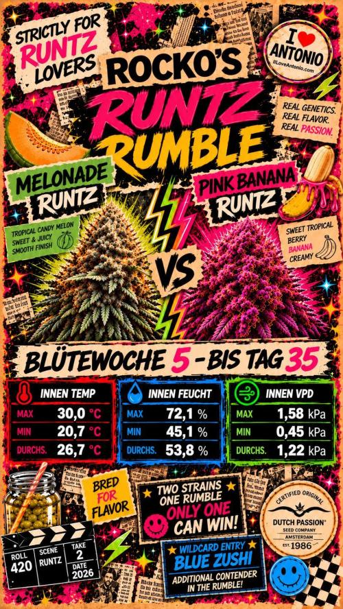 Rocko's Runtz Rumble. Week 12