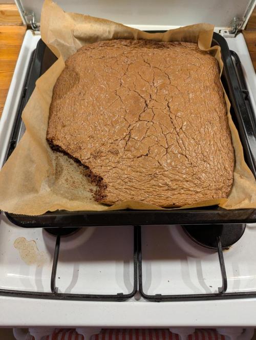 Outdoor 2x Critical Kush 3x GMO Fast. Week 32 - Fertig :-P