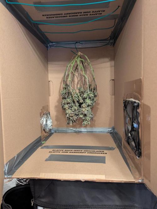 grow001_theo_rehtisch. Week 17