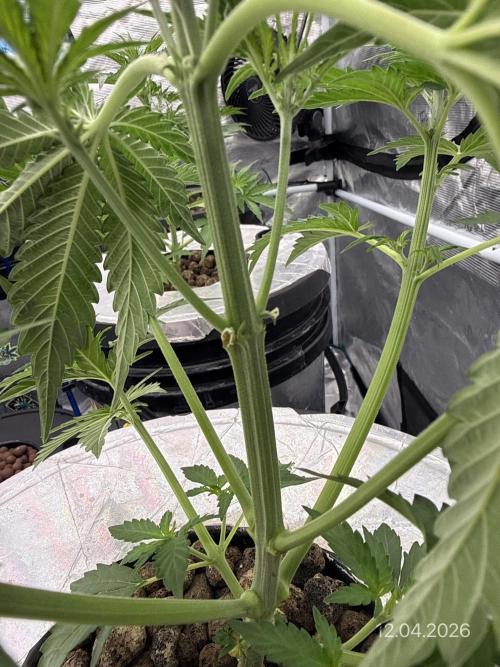 10.03.2026. Week 4