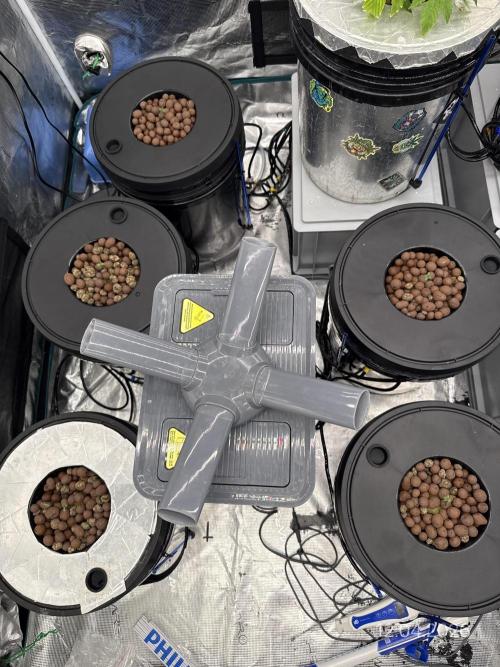 FastGrow. Week 1
