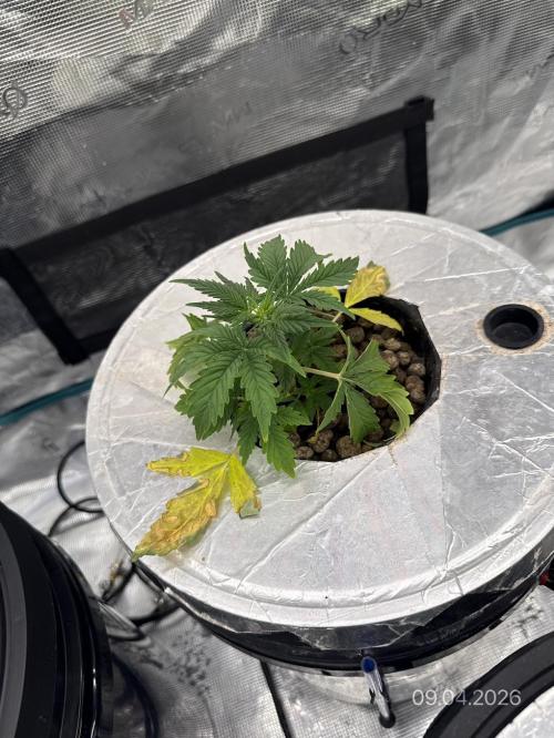 10.03.2026. Week 3