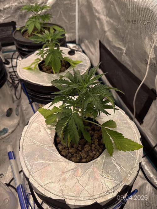 10.03.2026. Week 3