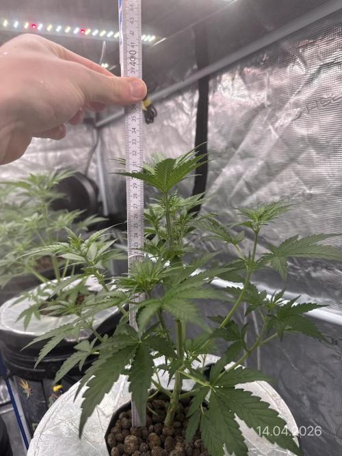 10.03.2026. Week 4