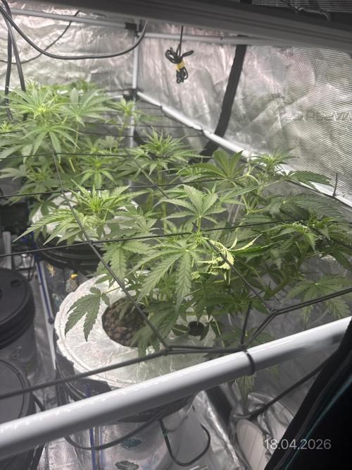 10.03.2026. Week 5