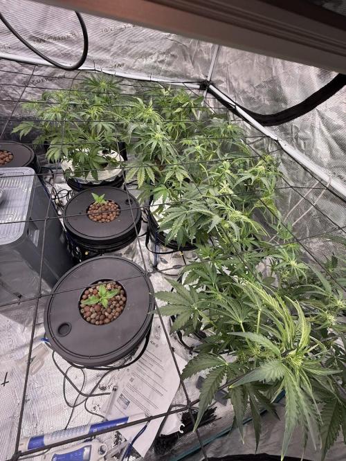 10.03.2026. Week 5