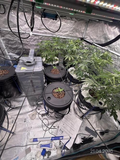 10.03.2026. Week 5