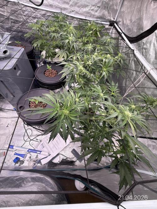 10.03.2026. Week 5