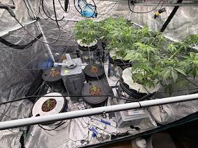 10.03.2026. Week 5