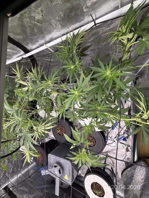 10.03.2026. Week 5