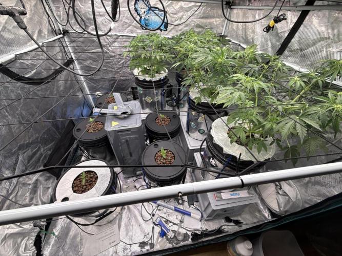 FastGrow. Week 2