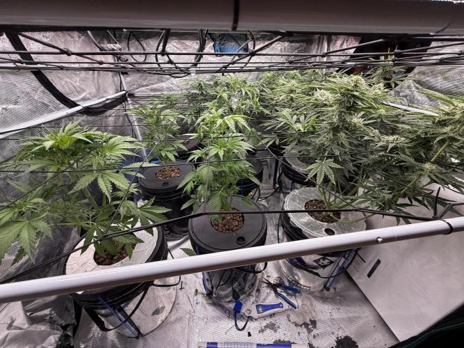 FastGrow. Week 4