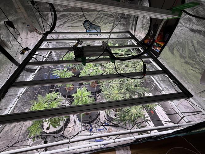 FastGrow. Week 4