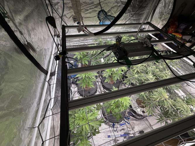 FastGrow. Week 4