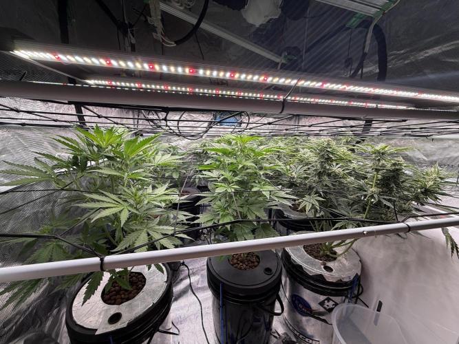 FastGrow. Week 4