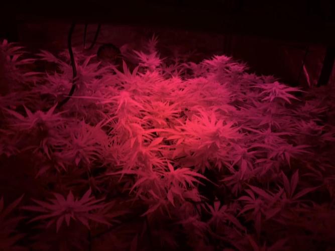20.10.2025