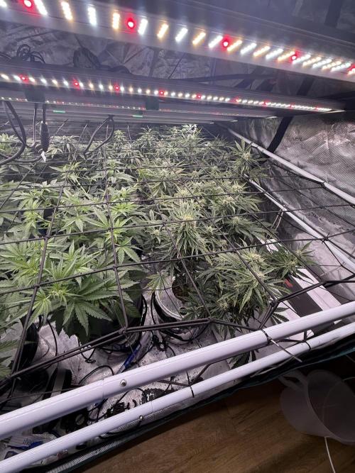 10.03.2026. Week 8