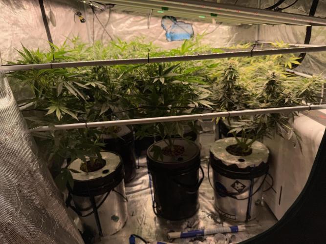 FastGrow. Week 6
