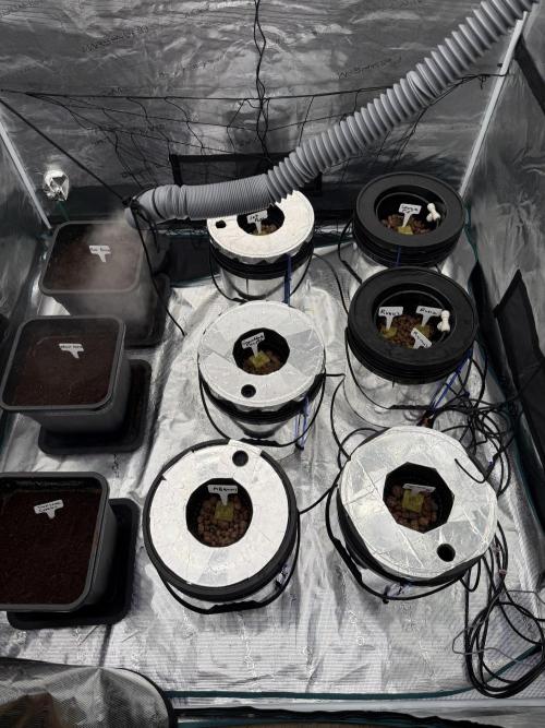 (01.05.2025)DWC. Week 0