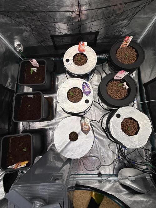 (01.05.2025)DWC. Week 1