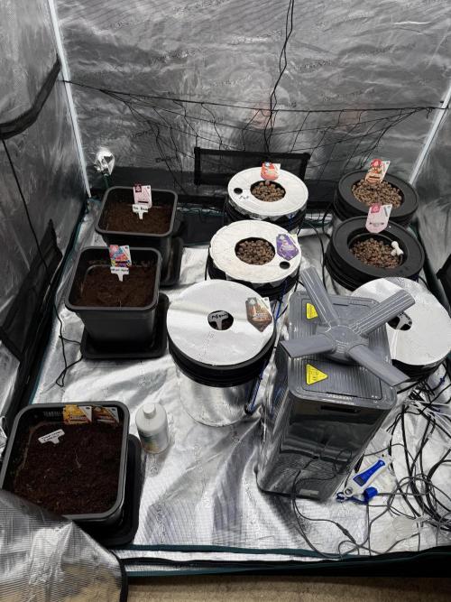 (01.05.2025)DWC. Week 1